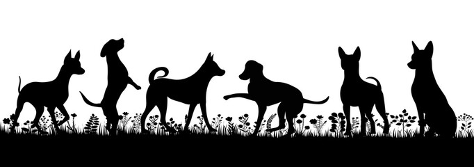 playing dogs silhouette on white background, isolated, vector