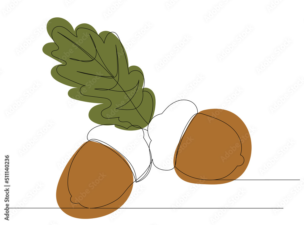Wall mural acorns drawing by one continuous line, sketch vector - Wall murals