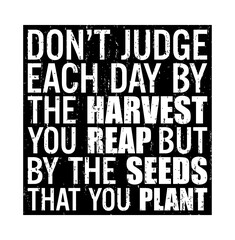 Don't judge each day by the harvest you reap but by the seeds that you plant. Motivational quote.