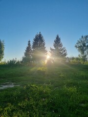 Fototapeta premium morning in the mountains