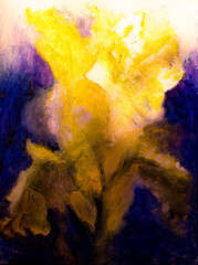 Oil painting yellow Iris flower in the sun, original artwork