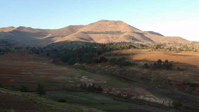 Lesotho Reeds