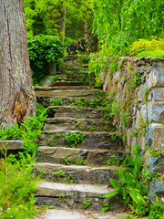 Stone staircase covered with plants in a garden.