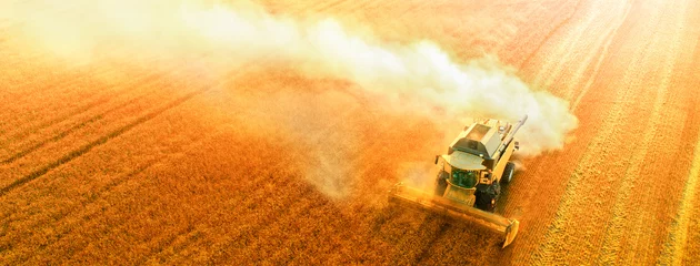Poster Oekraïne harvester oogst tarwe drone Bovenaanzicht. © maykal