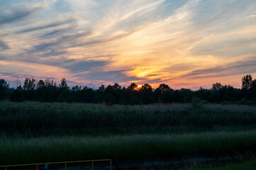 FLOWER,TREE,PLANTS,ANIMALS, LANDSCAPE