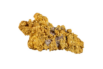 Rare natural gold nugget, museum sample close-up on a white background