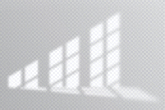 Shadow overlay effect. Soft light and shadows from window. Realistic vector Mockup of transparent shadow overlay effect and natural lightning in room interior.
