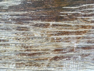 Fototapeta premium old wood texture