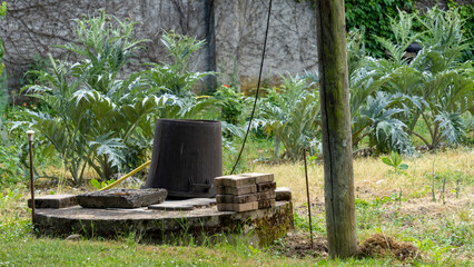 View of a well, a large black bucket turned over and artichoke plants in the background, early June © Natura