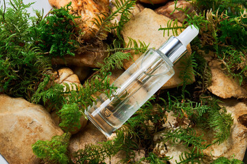 Fototapeta premium Liquid gel or serum in a glass transparent bottle with dropper on natural moss and stone background