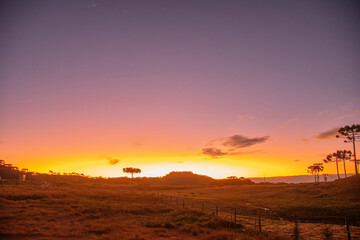 Late afternoon in the countryside with sun setting behind the hills in winter Araucaria