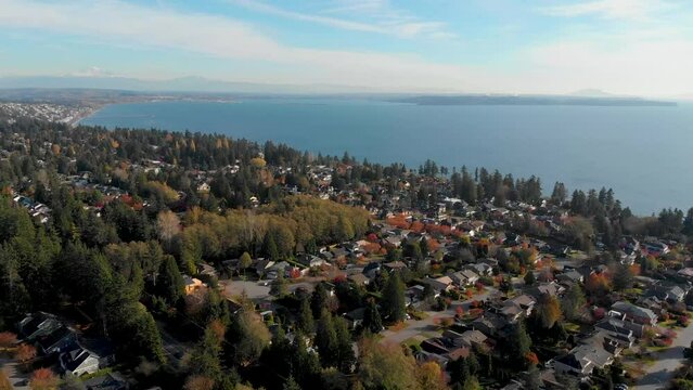 South Surrey aerial view 4