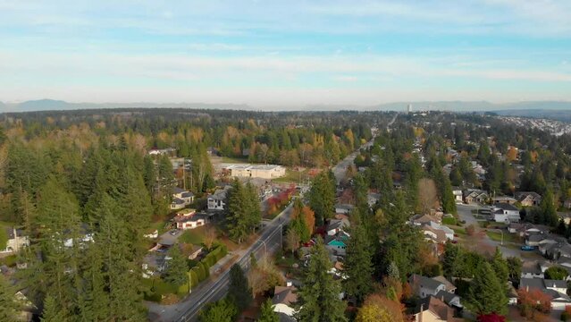 South Surrey aerial view 3