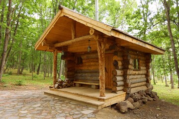 interior sauna in the forest with a tree and steam health and beauty
 
