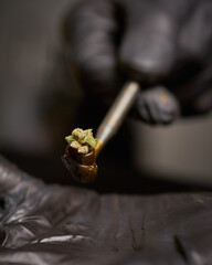 extraccion de rosin echo rosa, con un cogollo de marihuana arriba
