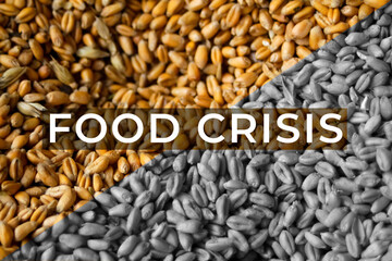 Food crisis. Global and European grain and wheat crisis, Ukraine. Export grain. Word design. Farming background. Oats, barley, rye. Agriculture. Economic depression. Sanctions. Price. Corn