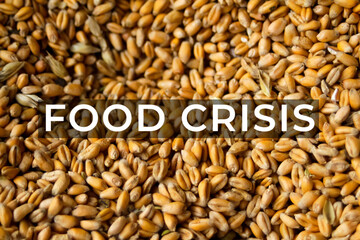 Food crisis. Global and European grain and wheat crisis, Ukraine. Export grain. Word design. Farming background. Oats, barley, rye. Red hands. Evil. Agriculture. Disaster. Money. Economic