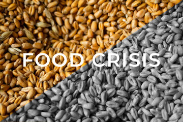 Food crisis. Global and European grain and wheat crisis, Ukraine. Export grain. Word design. Farming background. Oats, barley, rye. Agriculture. Economic depression