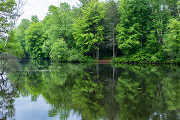 A still mill pond with green trees reflecting in the water in the summer.