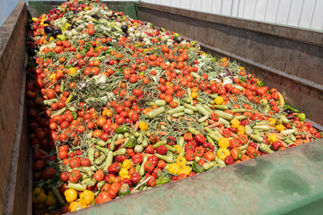 Mix of Expired Vegetables in a huge container, Organic bio waste in a rubbish bin. Heap of Compost...