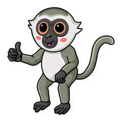 Cute little vervet monkey cartoon giving thumb up