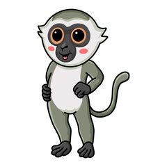 Cute little vervet monkey cartoon standing