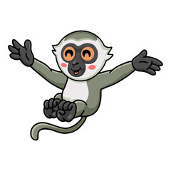 Cute little vervet monkey cartoon posing