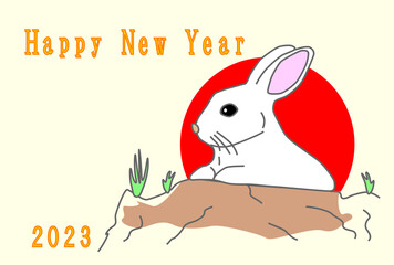 岩の上で休む可愛いうさぎ