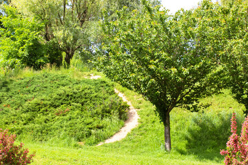 A narrow winding path leading up a hill in summer or spring garden, park. Recreation in nature. Landscaping. Green deciduous trees, grass, blossoming bushes with flowers. Beautiful Ukrainian landscape