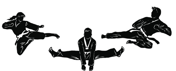 taekwondo vector icon logo illustration - obrazy, fototapety, plakaty