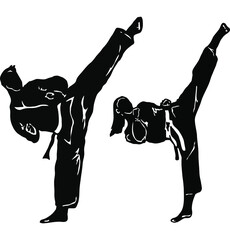 taekwondo vector icon logo illustration - obrazy, fototapety, plakaty