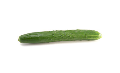 Japanese cucumber isolated on white background