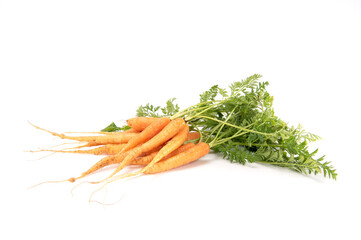 Organic mini carrots isolated on white background