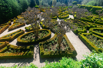 Picturesque landscape park of Mateus Palace with trimmed boxwood bushes creating exquisite green...