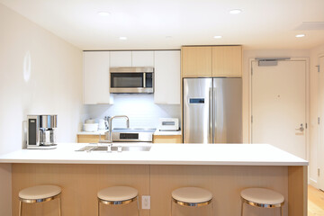 Modern minimalist kitchen