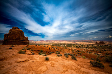 Desert Landscape