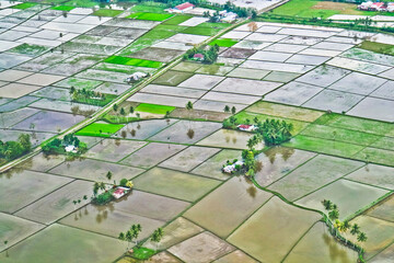 Rice field puzzle.
a series of rice fields from above is like a giant puzzle that is beautifully...