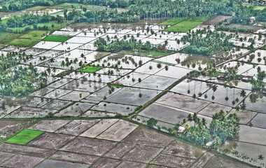 Rice field puzzle.
a series of rice fields from above is like a giant puzzle that is beautifully arranged
