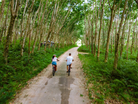 a couple of men and women on bicycle in the jungle of Koh Yao Yai Thailand, men and woman bicycling alongside a rubber plantation in Thailand. 