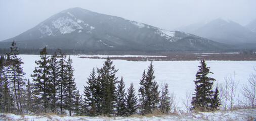 Winter landscape in Banff National Park Canada