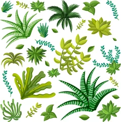 Afwasbaar Fotobehang Tropische bladeren Various plants seamless pattern