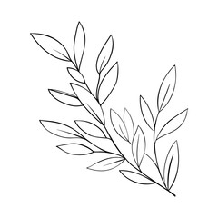 Twig with leaves of grass and plants. Forest herbs, for decorating invitations and thank you cards