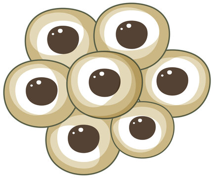 Eggs of frog on white background