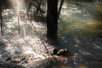 Fototapeta premium Water falling from the water wheel into the forest.