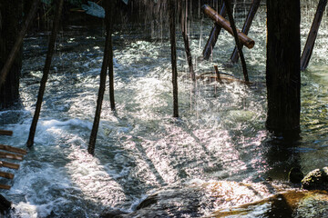 Water falling from the water wheel into the forest.