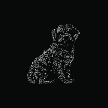 Zuchon hand drawing vector illustration isolated on black background