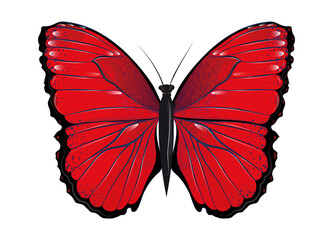 roter Schmetterling handgezeichnet und koloriert