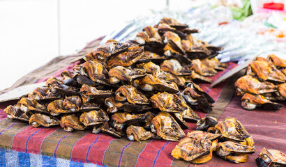 Dry fish on food stall at the fresh market in north of Thailand, dry food industry, food preservation