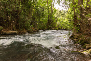 Fast  flowing Hermon stream in the area of the national park in northern Israel