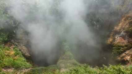 Fototapeta na wymiar Thick steam rises from two geyser boilers located nearby. Green vegetation around. Close-up. Kamchatka. Valley of Geysers